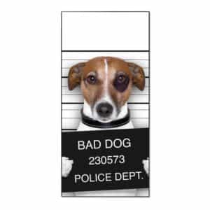 Banjado Magnettafel 37x78cm Magnetwand  Schwarz Aus Metall Magnetpinnwand Pinnwand Inkl. 4 Magnete Motiv Bad Dog Jack Russel