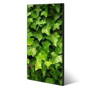 Banjado Magnettafel 37x78cm Magnetwand  Schwarz Aus Metall Magnetpinnwand Pinnwand Inkl. 4 Magnete Motiv Efeu