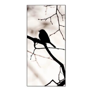 Banjado Magnettafel 37x78cm Magnetwand  Schwarz Aus Metall Magnetpinnwand Pinnwand Inkl. 4 Magnete Motiv Früher Vogel