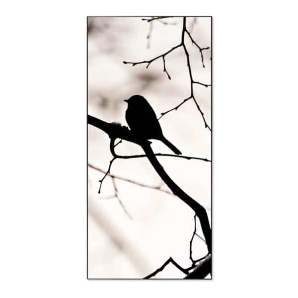 Banjado Magnettafel 37x78cm Magnetwand  Schwarz Aus Metall Magnetpinnwand Pinnwand Inkl. 4 Magnete Motiv Früher Vogel