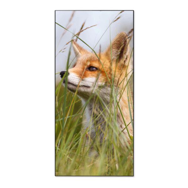Banjado Magnettafel 37x78cm Magnetwand  Schwarz Aus Metall Magnetpinnwand Pinnwand Inkl. 4 Magnete Motiv Fuchs