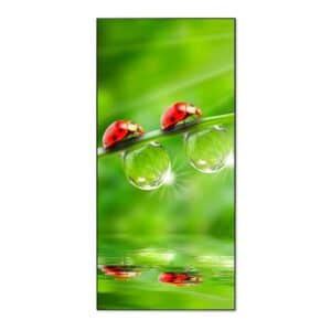 Banjado Magnettafel 37x78cm Magnetwand  Schwarz Aus Metall Magnetpinnwand Pinnwand Inkl. 4 Magnete Motiv Für Jeden Einen