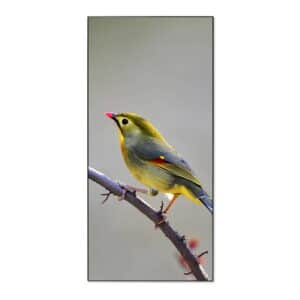 Banjado Magnettafel 37x78cm Magnetwand  Schwarz Aus Metall Magnetpinnwand Pinnwand Inkl. 4 Magnete Motiv Herbst Vogel