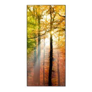 Banjado Magnettafel 37x78cm Magnetwand  Schwarz Aus Metall Magnetpinnwand Pinnwand Inkl. 4 Magnete Motiv Herbstwald