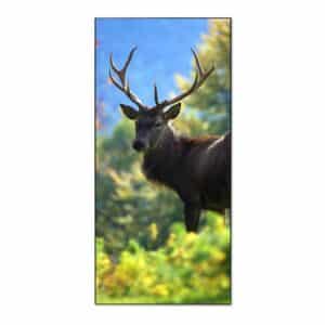 Banjado Magnettafel 37x78cm Magnetwand  Schwarz Aus Metall Magnetpinnwand Pinnwand Inkl. 4 Magnete Motiv Hirsch