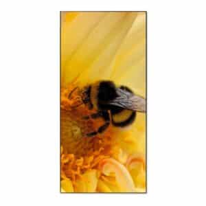 Banjado Magnettafel 37x78cm Magnetwand  Schwarz Aus Metall Magnetpinnwand Pinnwand Inkl. 4 Magnete Motiv Hummel