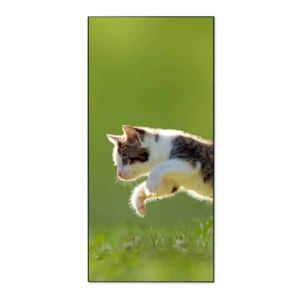 Banjado Magnettafel 37x78cm Magnetwand  Schwarz Aus Metall Magnetpinnwand Pinnwand Inkl. 4 Magnete Motiv Jagende Katze