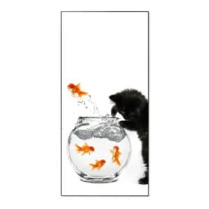 Banjado Magnettafel 37x78cm Magnetwand  Schwarz Aus Metall Magnetpinnwand Pinnwand Inkl. 4 Magnete Motiv Katze Und Fisch