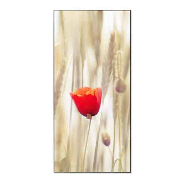 Banjado Magnettafel 37x78cm Magnetwand  Schwarz Aus Metall Magnetpinnwand Pinnwand Inkl. 4 Magnete Motiv Klatschmohn