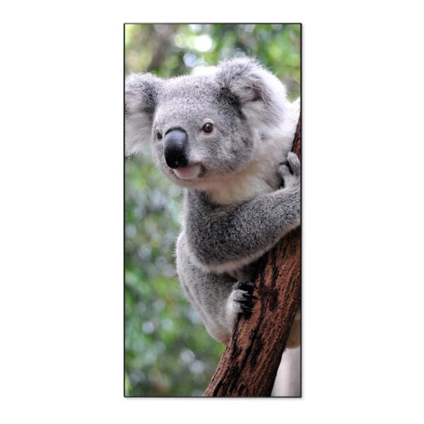 Banjado Magnettafel 37x78cm Magnetwand  Schwarz Aus Metall Magnetpinnwand Pinnwand Inkl. 4 Magnete Motiv Koala