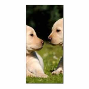 Banjado Magnettafel 37x78cm Magnetwand  Schwarz Aus Metall Magnetpinnwand Pinnwand Inkl. 4 Magnete Motiv Labrador