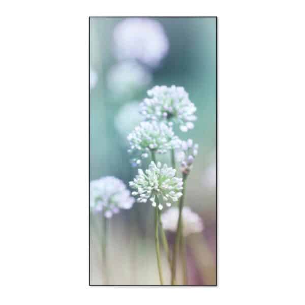 Banjado Magnettafel 37x78cm Magnetwand  Schwarz Aus Metall Magnetpinnwand Pinnwand Inkl. 4 Magnete Motiv Lauchblüte