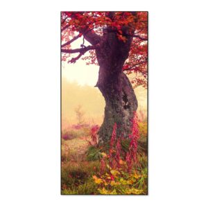 Banjado Magnettafel 37x78cm Magnetwand  Schwarz Aus Metall Magnetpinnwand Pinnwand Inkl. 4 Magnete Motiv Lichtung Im Herbst