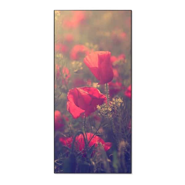 Banjado Magnettafel 37x78cm Magnetwand  Schwarz Aus Metall Magnetpinnwand Pinnwand Inkl. 4 Magnete Motiv Mohn