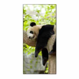 Banjado Magnettafel 37x78cm Magnetwand  Schwarz Aus Metall Magnetpinnwand Pinnwand Inkl. 4 Magnete Motiv Panda