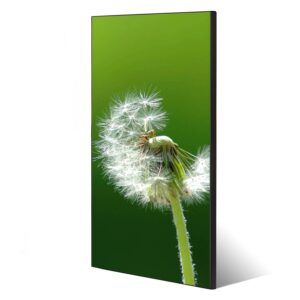 Banjado Magnettafel 37x78cm Magnetwand  Schwarz Aus Metall Magnetpinnwand Pinnwand Inkl. 4 Magnete Motiv Pusteblume