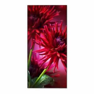 Banjado Magnettafel 37x78cm Magnetwand  Schwarz Aus Metall Magnetpinnwand Pinnwand Inkl. 4 Magnete Motiv Rote Dahlien