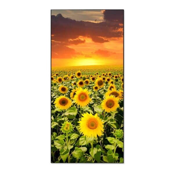 Banjado Magnettafel 37x78cm Magnetwand  Schwarz Aus Metall Magnetpinnwand Pinnwand Inkl. 4 Magnete Motiv Sonnenblumenmeer