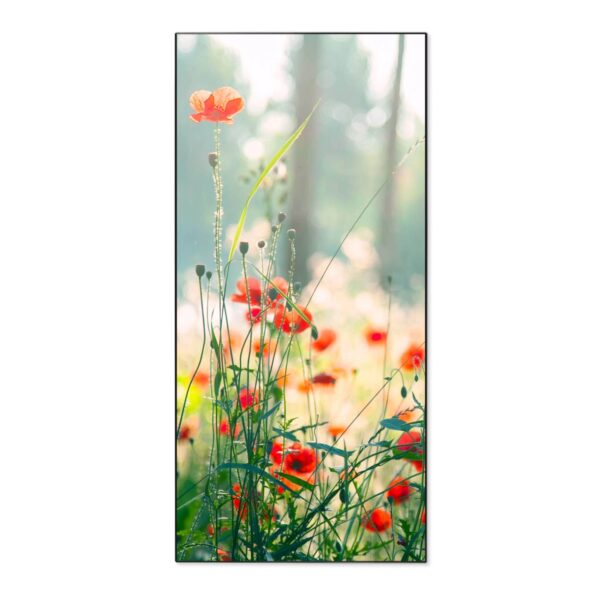 Banjado Magnettafel 37x78cm Magnetwand  Schwarz Aus Metall Magnetpinnwand Pinnwand Inkl. 4 Magnete Motiv Waldmohn