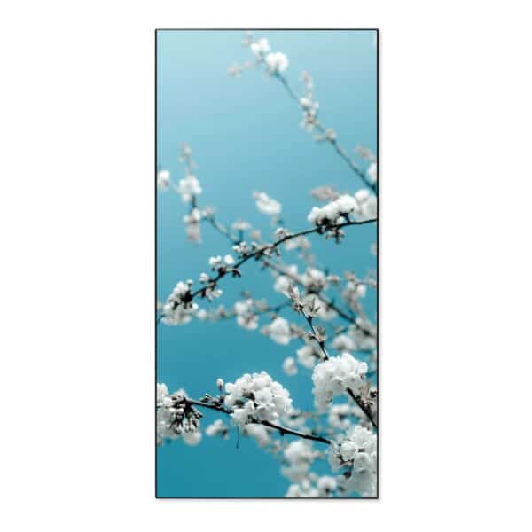 Banjado Magnettafel 37x78cm Magnetwand  Schwarz Aus Metall Magnetpinnwand Pinnwand Inkl. 4 Magnete Motiv Weiße Kirschblüten