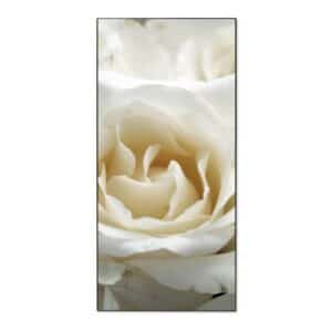 Banjado Magnettafel 37x78cm Magnetwand  Schwarz Aus Metall Magnetpinnwand Pinnwand Inkl. 4 Magnete Motiv White Roses