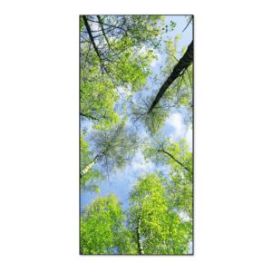 Banjado Magnettafel 37x78cm Magnetwand  Schwarz Aus Metall Magnetpinnwand Pinnwand Inkl. 4 Magnete Motiv Zwischen Bäumen 3