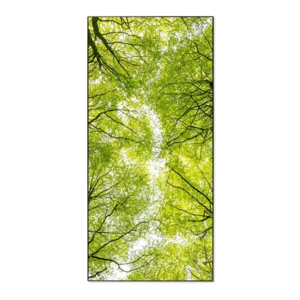 Banjado Magnettafel 37x78cm Magnetwand  Schwarz Aus Metall Magnetpinnwand Pinnwand Inkl. 4 Magnete Motiv Zwischen Bäumen
