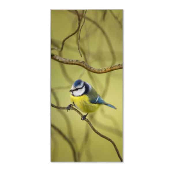 Banjado Magnettafel 37x78cm Magnetwand  Silber Aus Metall Magnetpinnwand Pinnwand Inkl. 4 Magnete Motiv Blaumeise Im Baum