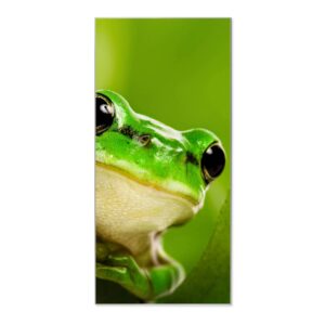 Banjado Magnettafel 37x78cm Magnetwand  Silber Aus Metall Magnetpinnwand Pinnwand Inkl. 4 Magnete Motiv Frosch