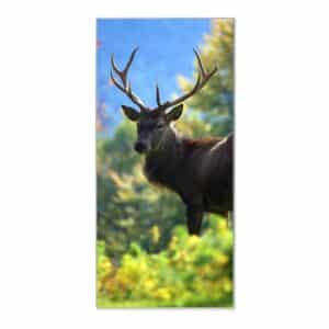 Banjado Magnettafel 37x78cm Magnetwand  Silber Aus Metall Magnetpinnwand Pinnwand Inkl. 4 Magnete Motiv Hirsch
