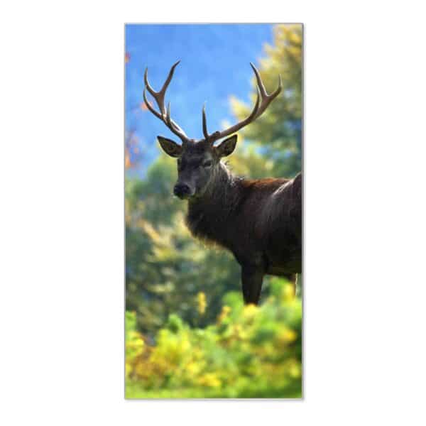 Banjado Magnettafel 37x78cm Magnetwand  Silber Aus Metall Magnetpinnwand Pinnwand Inkl. 4 Magnete Motiv Hirsch
