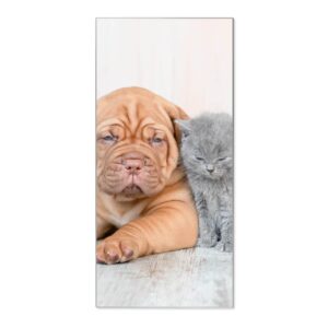 Banjado Magnettafel 37x78cm Magnetwand  Silber Aus Metall Magnetpinnwand Pinnwand Inkl. 4 Magnete Motiv Hund Und Katze