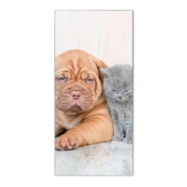 Banjado Magnettafel 37x78cm Magnetwand  Silber Aus Metall Magnetpinnwand Pinnwand Inkl. 4 Magnete Motiv Hund Und Katze