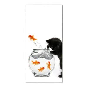 Banjado Magnettafel 37x78cm Magnetwand  Silber Aus Metall Magnetpinnwand Pinnwand Inkl. 4 Magnete Motiv Katze Und Fisch