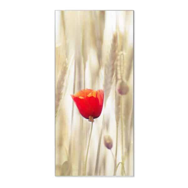 Banjado Magnettafel 37x78cm Magnetwand  Silber Aus Metall Magnetpinnwand Pinnwand Inkl. 4 Magnete Motiv Klatschmohn