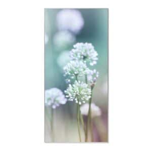 Banjado Magnettafel 37x78cm Magnetwand  Silber Aus Metall Magnetpinnwand Pinnwand Inkl. 4 Magnete Motiv Lauchblüte