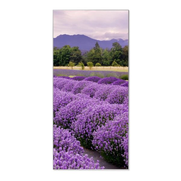 Banjado Magnettafel 37x78cm Magnetwand  Silber Aus Metall Magnetpinnwand Pinnwand Inkl. 4 Magnete Motiv Lavendel 1