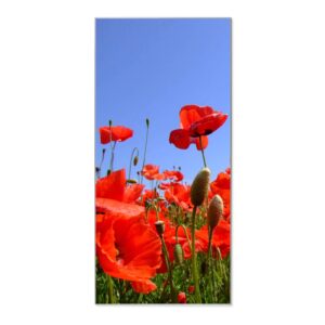 Banjado Magnettafel 37x78cm Magnetwand  Silber Aus Metall Magnetpinnwand Pinnwand Inkl. 4 Magnete Motiv Mohnblumen