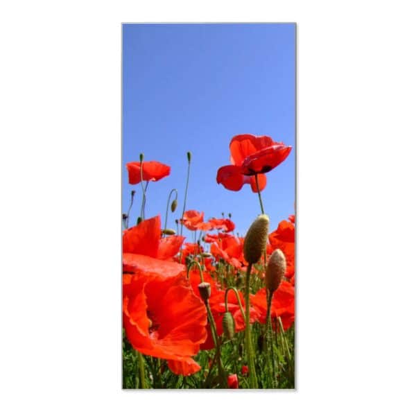 Banjado Magnettafel 37x78cm Magnetwand  Silber Aus Metall Magnetpinnwand Pinnwand Inkl. 4 Magnete Motiv Mohnblumen