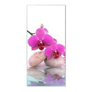 Banjado Magnettafel 37x78cm Magnetwand  Silber Aus Metall Magnetpinnwand Pinnwand Inkl. 4 Magnete Motiv Orchidee