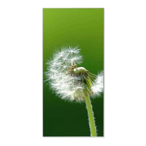 Banjado Magnettafel 37x78cm Magnetwand  Silber Aus Metall Magnetpinnwand Pinnwand Inkl. 4 Magnete Motiv Pusteblume