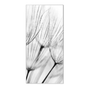 Banjado Magnettafel 37x78cm Magnetwand  Silber Aus Metall Magnetpinnwand Pinnwand Inkl. 4 Magnete Motiv Pusteblumen Sw