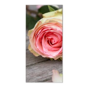 Banjado Magnettafel 37x78cm Magnetwand  Silber Aus Metall Magnetpinnwand Pinnwand Inkl. 4 Magnete Motiv Rosa Rose