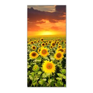 Banjado Magnettafel 37x78cm Magnetwand  Silber Aus Metall Magnetpinnwand Pinnwand Inkl. 4 Magnete Motiv Sonnenblumenmeer
