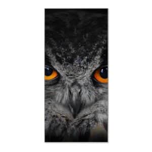Banjado Magnettafel 37x78cm Magnetwand  Silber Aus Metall Magnetpinnwand Pinnwand Inkl. 4 Magnete Motiv Uhu