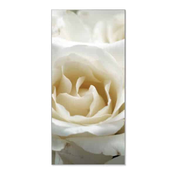 Banjado Magnettafel 37x78cm Magnetwand  Silber Aus Metall Magnetpinnwand Pinnwand Inkl. 4 Magnete Motiv White Roses