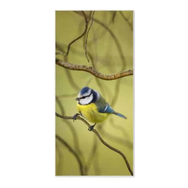 Banjado Magnettafel 37x78cm Magnetwand  Weiß Aus Metall Magnetpinnwand Pinnwand Inkl. 4 Magnete Motiv Blaumeise Im Baum