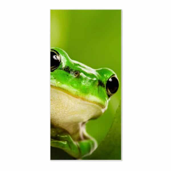 Banjado Magnettafel 37x78cm Magnetwand  Weiß Aus Metall Magnetpinnwand Pinnwand Inkl. 4 Magnete Motiv Frosch