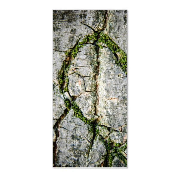 Banjado Magnettafel 37x78cm Magnetwand  Weiß Aus Metall Magnetpinnwand Pinnwand Inkl. 4 Magnete Motiv Herz Aus Moos