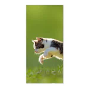 Banjado Magnettafel 37x78cm Magnetwand  Weiß Aus Metall Magnetpinnwand Pinnwand Inkl. 4 Magnete Motiv Jagende Katze